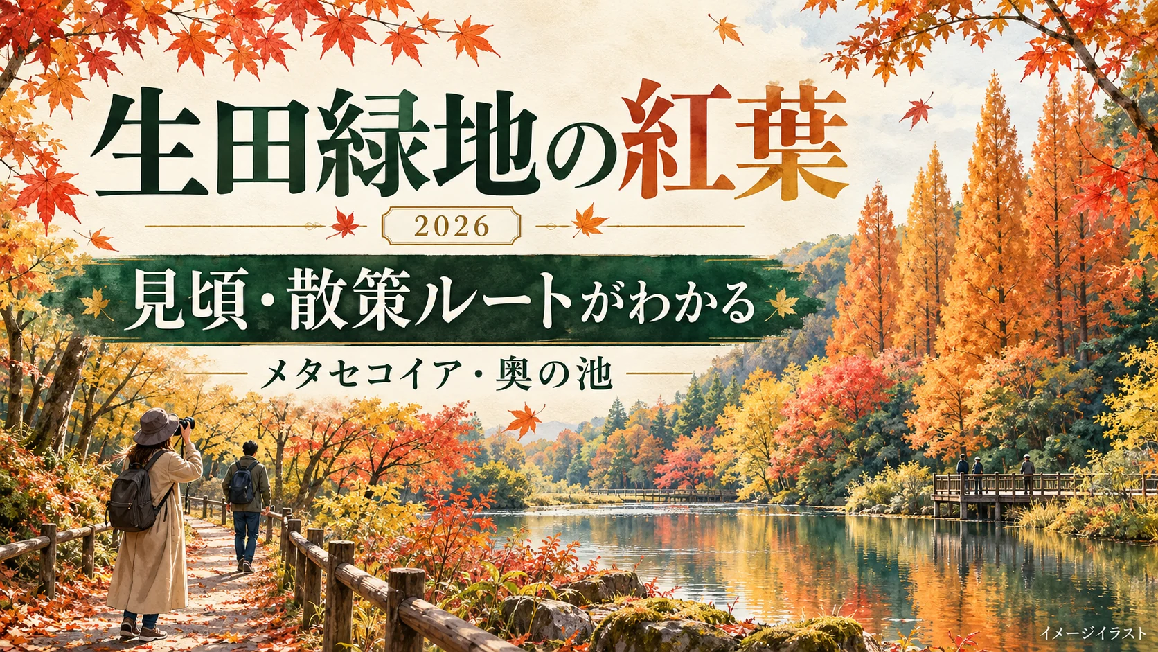 生田緑地の紅葉2026。メタセコイア・奥の池の見頃の目安と散策ルートを案内するイメージイラスト。現地の色づきの写真ではありません。